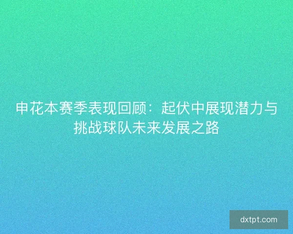 申花本赛季表现回顾：起伏中展现潜力与挑战球队未来发展之路