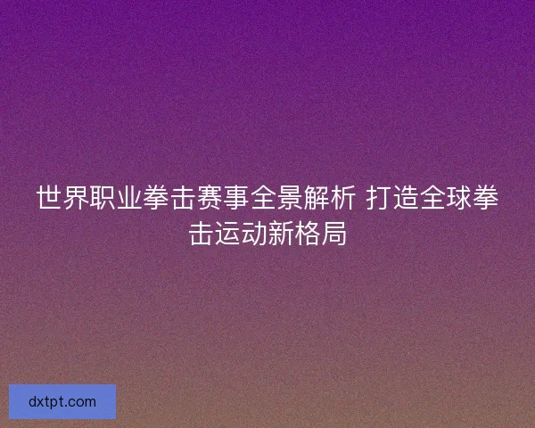 世界职业拳击赛事全景解析 打造全球拳击运动新格局